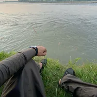 original sound - maaz_afg