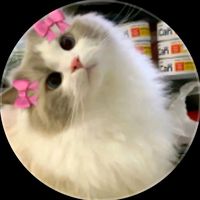 _momosss1