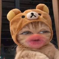 nyan2n2