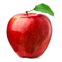 suara asli - SABAR/TAWAKKAL. 👏🙏