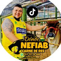 nefiab