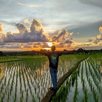 suara asli - Agung Maulana Yusuf #192