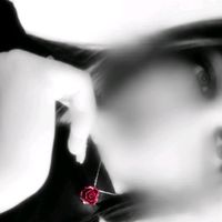 lovv_red_rose