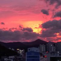 오리지널 사운드 - 꽃하르방