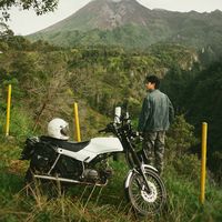 suara asli - rusa.putih_