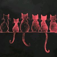 mazingcat4