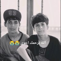 shsunfi