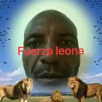 original sound - m.n.s125_