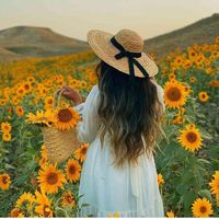 rozha_hawlery1