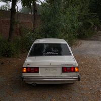 _she1lyy