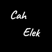 cah.elex_08