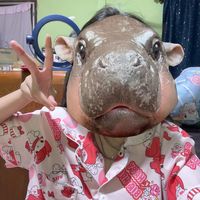 เสียงต้นฉบับ - ฟาาฟ้าาาาา💤💤
