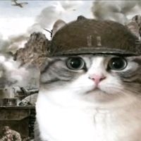 Мелоди любит блины