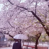 พี่ไม่หล่อลวง BamBam