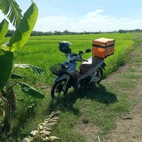 เสียงต้นฉบับ - ผมรวย ครับ