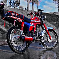 lalparri459
