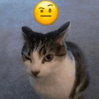 nhạc nền - Otp real gần chết 𐤀