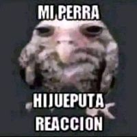 sonido original