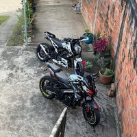 chiquitammy0