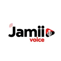 original sound - jamiivoice