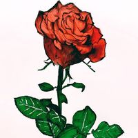 syon_21