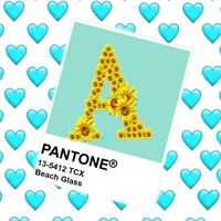 alex3pi