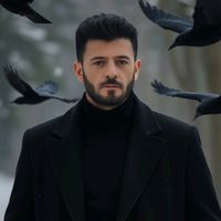 hardi__gardi