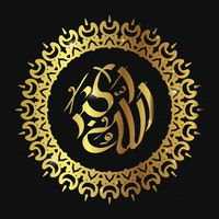 ismailmoosa369