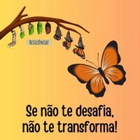 resiliencia_0322