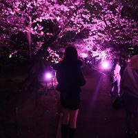 オリジナル楽曲 - ngn._.o04