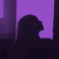 nicd_nicolux