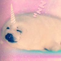 no one noticed extended version