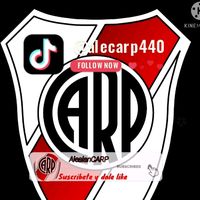 alecarp440