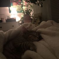 catchyourdreams21