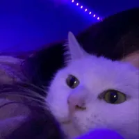 original sound - m9ug6