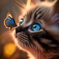 original sound - 😊SMILE😊