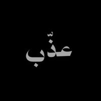 3zib8
