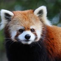 オリジナル楽曲 - yusei680