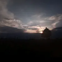 original sound - solo_insanos28