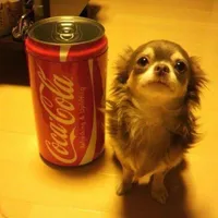 original sound - improvsp