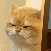 เสียงต้นฉบับ - กะทิ Soz sa