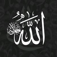 ahmedelkastawi3377