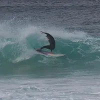 original sound - biggynorris_2009