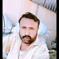 original sound - pardsilog496