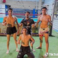 الصوت الأصلي