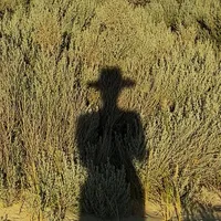 original sound - amyrosealexandra