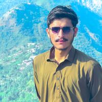 sardarraza6878