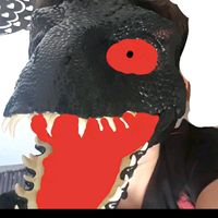 umdinossurolouco