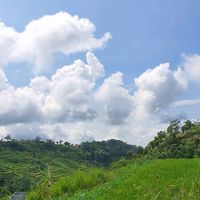 suara asli - MbakSpill♥️