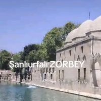 zorbey_omer63